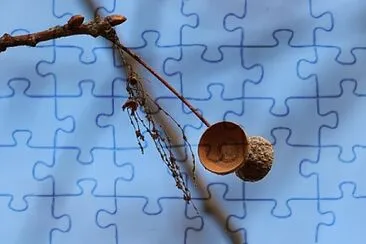 Toy jigsaw puzzle