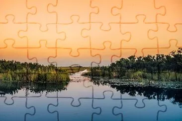 pop jigsaw puzzle