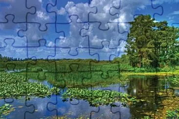 pop jigsaw puzzle