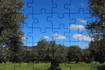 Toy jigsaw puzzle