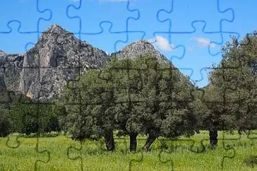 Toy jigsaw puzzle