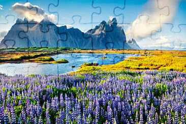  jigsaw puzzle