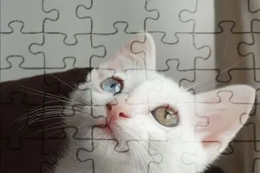  jigsaw puzzle