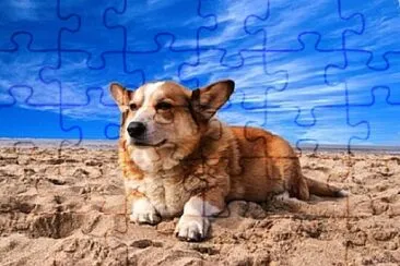 Toy jigsaw puzzle