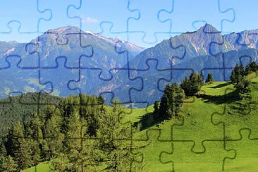 Toy jigsaw puzzle