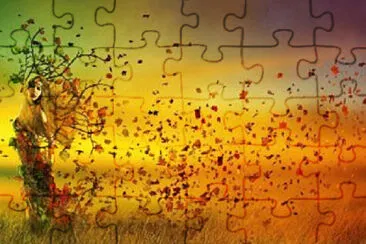 Toy jigsaw puzzle