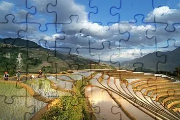 Toy jigsaw puzzle