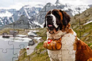 Perro Sanbernardo 02 jigsaw puzzle