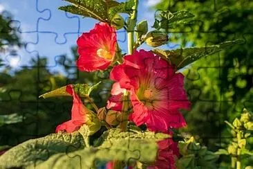 X9 jigsaw puzzle