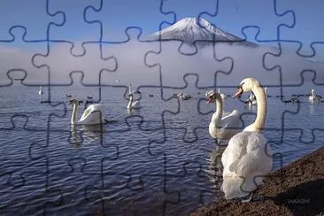 imagem jigsaw puzzle