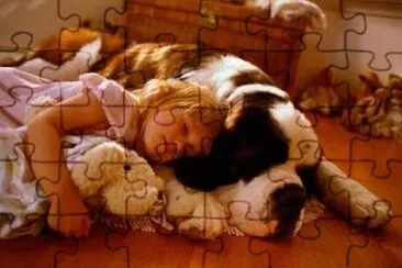 Perro Sanbernardo 09 jigsaw puzzle