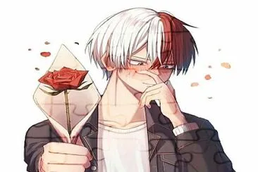 Shoto Todoriki (personaje de anime)