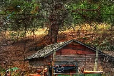 Old farm truck