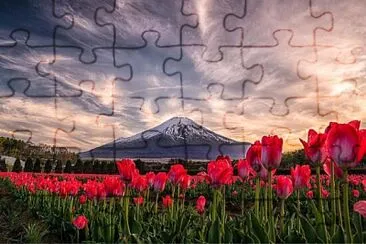 imagem jigsaw puzzle