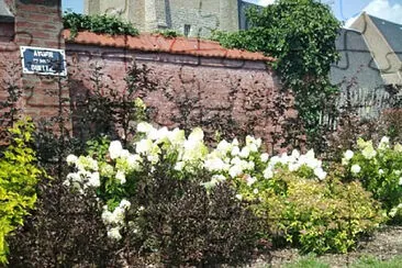 Massif de fleurs au Touquet