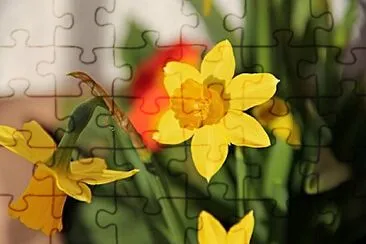 Foto jigsaw puzzle