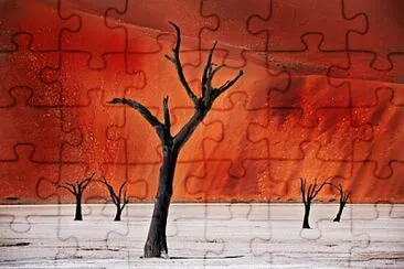 B093 jigsaw puzzle