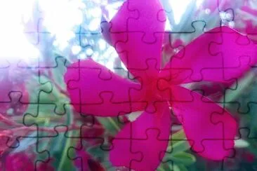 FLOWERS jigsaw puzzle