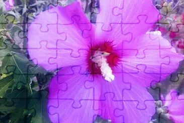 FLOWERS jigsaw puzzle