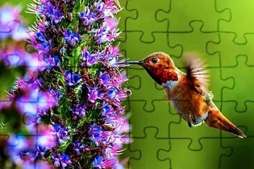 Toy jigsaw puzzle