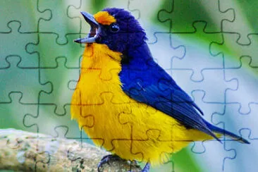 Toy jigsaw puzzle