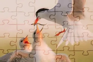 imagem jigsaw puzzle