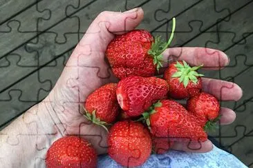 Strawberries in hand