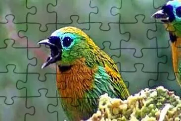 Toy jigsaw puzzle