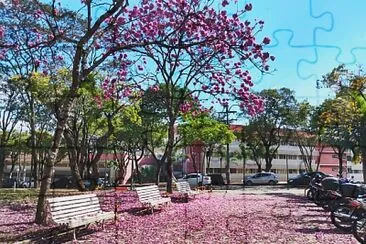 ufmg jigsaw puzzle