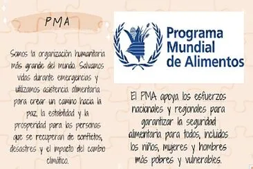 rompecabezas de PMA