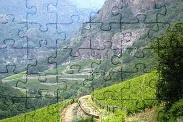 Toy jigsaw puzzle