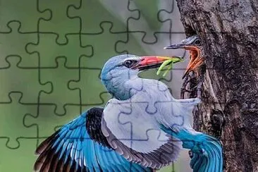 imagem jigsaw puzzle