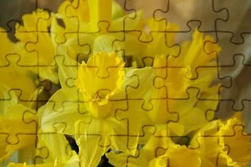 Foto jigsaw puzzle