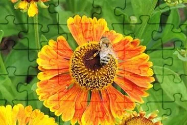 Toy jigsaw puzzle