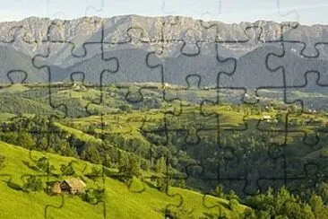 Toy jigsaw puzzle