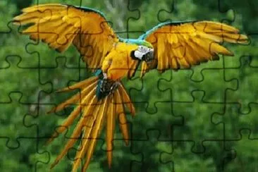 Toy jigsaw puzzle