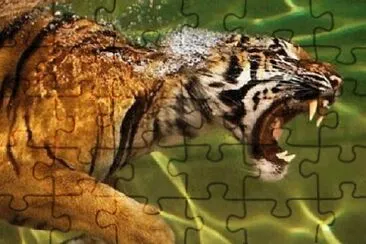 Toy jigsaw puzzle