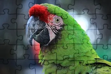 Toy jigsaw puzzle