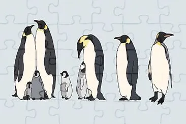 Familia de Pingüinos jigsaw puzzle