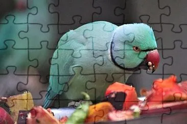 Toy jigsaw puzzle