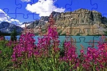 Imagem jigsaw puzzle