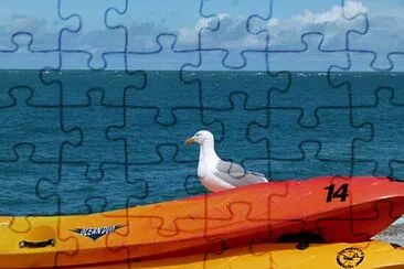 Toy jigsaw puzzle