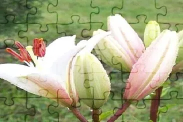 OK jigsaw puzzle