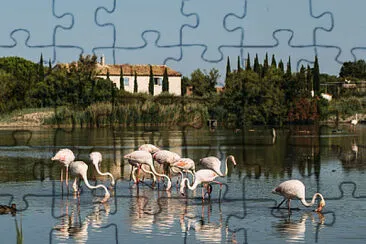 Playa jigsaw puzzle