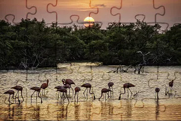 Sunset with Flamingos