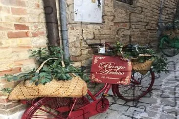 bicicletta rossa floreale