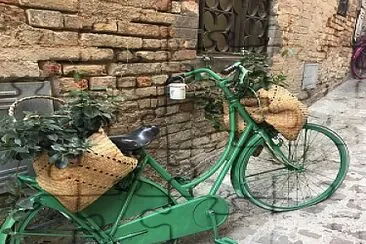 bicicletta floreale verde