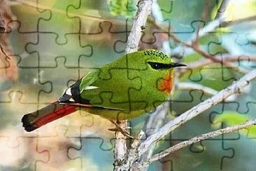 Foto jigsaw puzzle