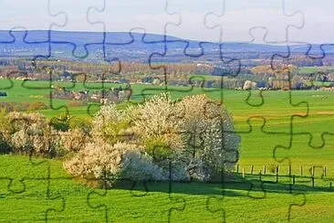 X jigsaw puzzle