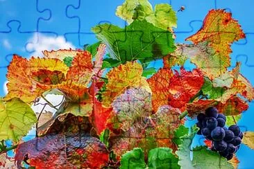 Foto jigsaw puzzle